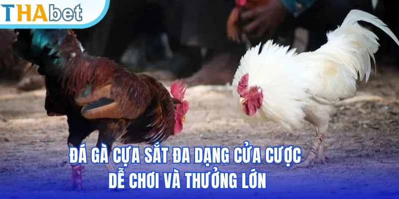 Đá gà cựa sắt đa dạng cửa cược dễ chơi và thưởng lớn