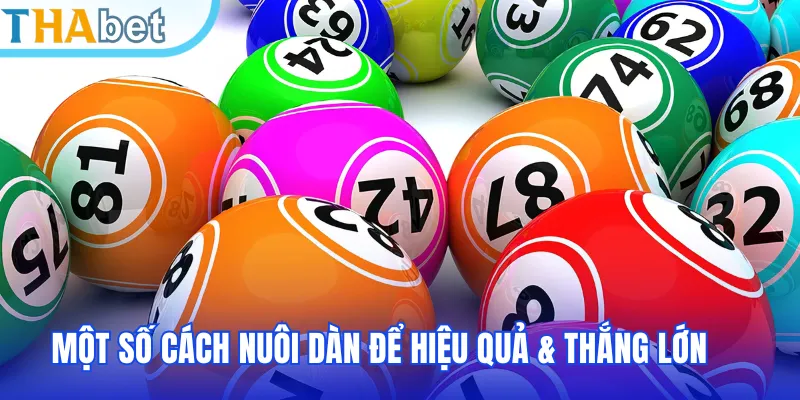 Một số cách nuôi dàn để hiệu quả & thắng lớn